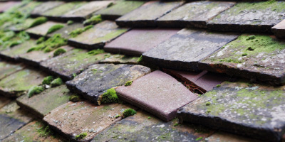 Llanfallteg roof repair costs